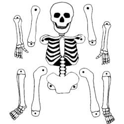 着色页: 骨骼 (人物) #147465 - 免费可打印着色页