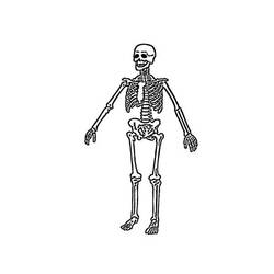 着色页: 骨骼 (人物) #147554 - 免费可打印着色页