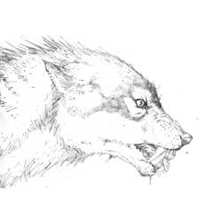 着色页: 狼人 (人物) #100026 - 免费可打印着色页