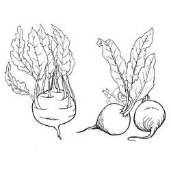 着色页: 甜菜 - 免费可打印着色页