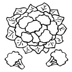 着色页: 花椰菜 - 免费可打印着色页