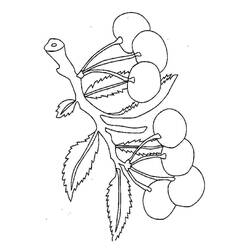 着色页: 樱桃 - 免费可打印着色页