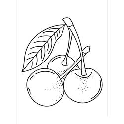 着色页: 樱桃 (食物和营养) #190093 - 免费可打印着色页