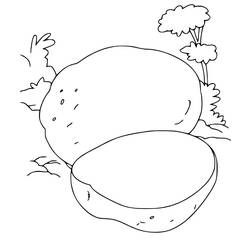 着色页: 土豆 (食物和营养) #207413 - 免费可打印着色页