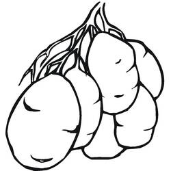 着色页: 土豆 (食物和营养) #207435 - 免费可打印着色页