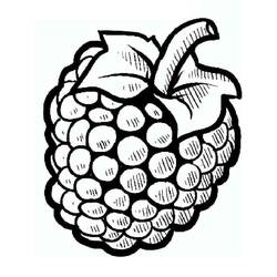 着色页: 覆盆子 - 免费可打印着色页