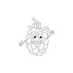 着色页: 覆盆子 (食物和营养) #214015 - 免费可打印着色页