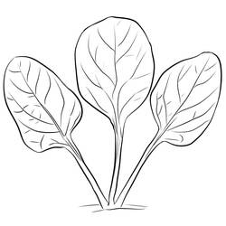 着色页: 菠菜 (食物和营养) #187660 - 免费可打印着色页