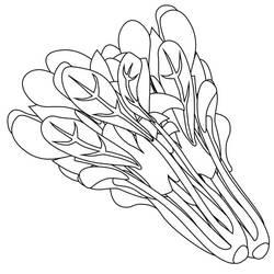 着色页: 菠菜 (食物和营养) #187663 - 免费可打印着色页