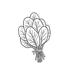 着色页: 菠菜 (食物和营养) #187666 - 免费可打印着色页