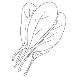 着色页: 菠菜 (食物和营养) #187670 - 免费可打印着色页