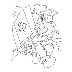 着色页: 加拿大日 - 7月1日 (节日和庆典) #193586 - 免费可打印着色页
