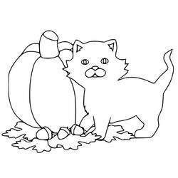 着色页: 万圣节猫 (节日和庆典) #203978 - 免费可打印着色页