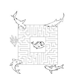 着色页: 迷宫 (学习和教育) #126618 - 免费可打印着色页