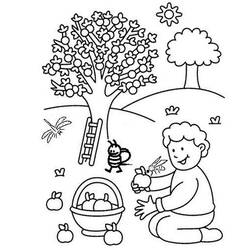 着色页: 苹果树 (自然与季节) #163445 - 免费可打印着色页