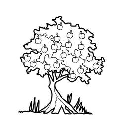 着色页: 苹果树 (自然与季节) #163740 - 免费可打印着色页