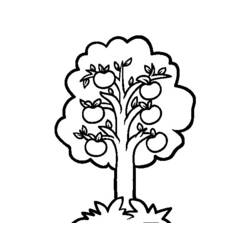 着色页: 苹果树 (自然与季节) #163751 - 免费可打印着色页