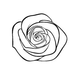 着色页: 花束 (自然与季节) #160841 - 免费可打印着色页