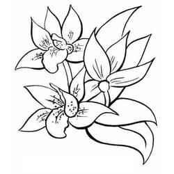 着色页: 花束 (自然与季节) #160860 - 免费可打印着色页
