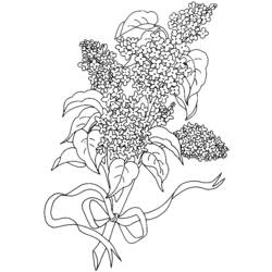 着色页: 花束 (自然与季节) #160994 - 免费可打印着色页
