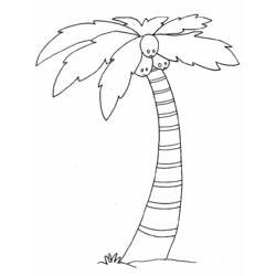 着色页: 椰子树 (自然与季节) #162115 - 免费可打印着色页