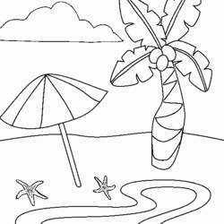 着色页: 椰子树 (自然与季节) #162166 - 免费可打印着色页