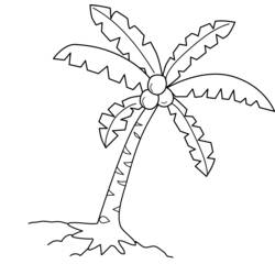 着色页: 椰子树 (自然与季节) #162366 - 免费可打印着色页