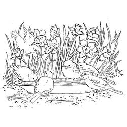 着色页: 水仙花 (自然与季节) #189948 - 免费可打印着色页
