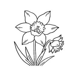 着色页: 水仙花 (自然与季节) #189952 - 免费可打印着色页