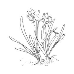 着色页: 水仙花 (自然与季节) #189953 - 免费可打印着色页