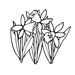 着色页: 水仙花 (自然与季节) #189963 - 免费可打印着色页