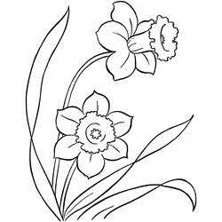 着色页: 水仙花 (自然与季节) #189965 - 免费可打印着色页