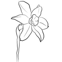 着色页: 水仙花 (自然与季节) #189975 - 免费可打印着色页