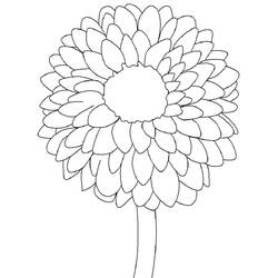 着色页: 大丽花 (自然与季节) #176505 - 免费可打印着色页