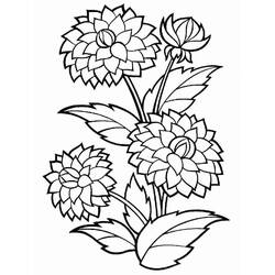 着色页: 大丽花 (自然与季节) #176511 - 免费可打印着色页