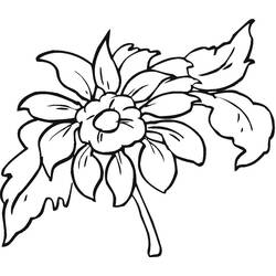 着色页: 大丽花 (自然与季节) #176513 - 免费可打印着色页