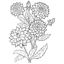 着色页: 大丽花 (自然与季节) #176520 - 免费可打印着色页
