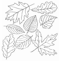 着色页: 秋季 (自然与季节) #164052 - 免费可打印着色页