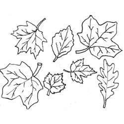 着色页: 秋季 (自然与季节) #164059 - 免费可打印着色页