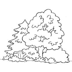 着色页: 森林 (自然与季节) #157044 - 免费可打印着色页