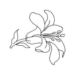 着色页: 百合 (自然与季节) #182377 - 免费可打印着色页
