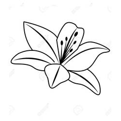 着色页: 百合 (自然与季节) #182403 - 免费可打印着色页