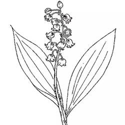 着色页: 铃兰 (自然与季节) #176398 - 免费可打印着色页
