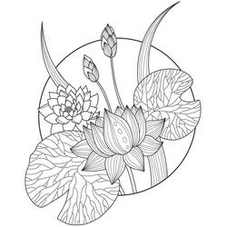 着色页: 莲花 - 免费可打印着色页