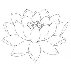 着色页: 莲花 (自然与季节) #182330 - 免费可打印着色页