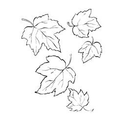 着色页: 枫叶 - 免费可打印着色页