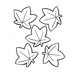 着色页: 枫叶 (自然与季节) #190232 - 免费可打印着色页
