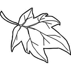 着色页: 枫叶 (自然与季节) #190250 - 免费可打印着色页