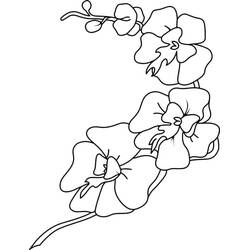 着色页: 兰花 - 免费可打印着色页