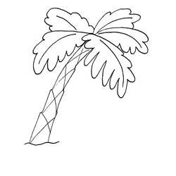 着色页: 棕榈树 (自然与季节) #161116 - 免费可打印着色页